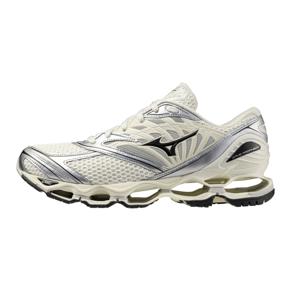 Mizuno Wave Prophecy