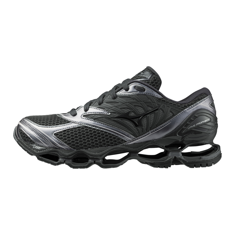 Mizuno Wave Prophecy